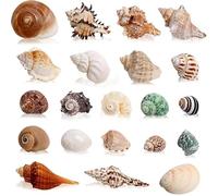DIGNFENG 21PCS Coquillages Naturels et Étoiles de Mer, Mélange de Coquilles de Plage de 3 à 16 cm, Parfait pour Décoration d'Aquarium DIY Fêtes à Thème Marin