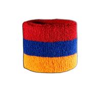 Digni® Bracelet éponge Motif Arménie pour Poignet, Bracelet de Sport Anti-Transpiration pour Supporters et événements