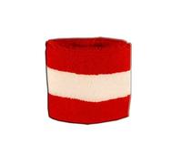 Digni® Bracelet éponge Motif Autriche pour Poignet, Bracelet de Sport Anti-Transpiration pour Supporters et événements