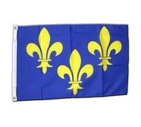 Digni Drapeau France Île de France - 60 x 90 cm