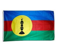 Digni® Drapeau France Nouvelle-Calédonie Kanaky 90 x 150 cm