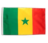 Digni® Drapeau Sénégal 30 x 45 cm