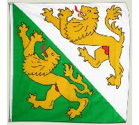 Digni Drapeau Suisse Canton Thurgau - 120 x 120 cm