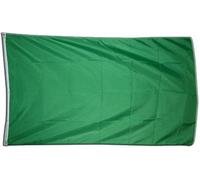 Digni drapeau Unicolore Vert 90 x 150 cm