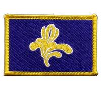 Digni Écusson brodé Flag Patch Belgique Région Bruxelles-Capitale - 8 x 6 cm