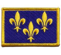 Digni Écusson brodé Flag Patch France Île de France - 8 x 6 cm