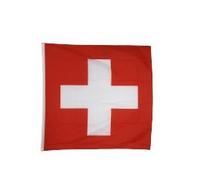 Digni® Geant Drapeau Suisse - 150 x 150 cm