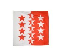 Digni® Geant Drapeau Suisse Canton Valais - 150 x 150 cm