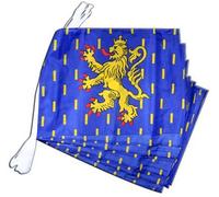 Digni Grande Guirlande 12 Drapeaux France Franche-Comté - 30 x 45 cm / 8,9 m Sticker Gratuit
