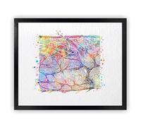 Dignovel Studios 8 x 10 sans cadre - Diagramme en coupe transversale de la peau - Histologie - Dermatologie - Science médicale - Aquarelle - Poster mural à suspendre - DN1017