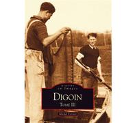Digoin - Tome III - Michel Ferrari - Nouvelles Editions Sutton - broché - Monographie