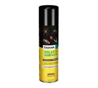 Aérosol Digrain volants et rampants 500 ml - Action foudroyante & durable