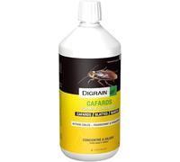 DIGRAIN - Répulsif Cafards & Blattes à Diluer Huile Concentrée Professionnelle 1L Protection Jusqu’à 1000 m² - Usage Intérieur & Extérieur - Action Longue Durée - Fabriqué en France