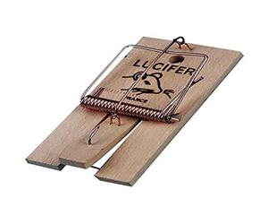 DIGRAIN Tapette à Rat - R4003