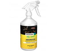 Digrain Toutpratique Anti Cafard Choc - Spray Insecticide 500 ML - Pal Choc - Contre Cafards, Moustiques, Mouches, Blattes, Fourmis, Puces, Punaises de Lit - Persistant 3 Mois