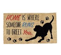 DII Paillasson 100% Fibre de Coco Naturelle, Chien Domestique, 0,5 m x 0,7 m (rectangulaire)