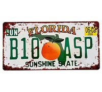 DiiliHiiri Plaque d'Immatriculation de Voiture Américaine Réplique d'affiche USA Florida Vintage Décoration Rétro pour Bar Pub Cafétéria Grotte Homme Garage ou Atelier - 15 x 30 cm (2651-11)