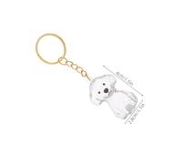 DIKACA 4 Pièces Capsule Étanche pour Conservation Accessoire Émotionnel pour Propriétaires Animaux