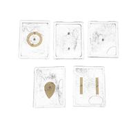 DIKACA 5 Ensembles Appareil Pédagogique de Physique Scolaire en Plastique et Fer pour Expériences de Champ Électrique, pour Projets Scientifiques Étudiants et Enrichissement du Programme