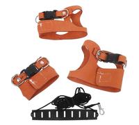 DIKACA Harnais Gilet Réglable pour Petits Animaux 3 Tailles SML Laisse Corde 2 Mètres Résistante Anti-Morsure Harnais pour Écureuil Hamster Furet Chinchilla - Sortie et Promenade