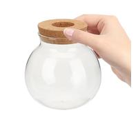 DIKACA Vase hydroponique en Verre Terrarium pour Plantes, Support de Fleurs pour Plantes hydroponiques, décoration de Bureau et bibliothèque, récipient Haut