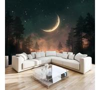 DILANI Papier Peint Panoramique 3d Coucher De Soleil En Forêt Intissé Poster Tableaux Muraux Paysage Décoration murale Art Wallpaper pour Salon Cuisines Bureau Chambre d'enfants Décor 400x280 cm