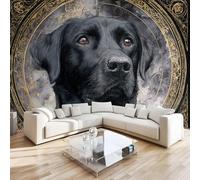 DILANI Papier Peint Panoramique Intissé Photo Mural Labrador Black Gold 400x280 cm 3D Motif Muraux Geant Mat Poster Chien Kawaii Décoration murale Art non tissé décoration chambre TV mur salon