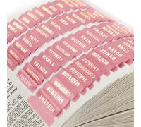 DILIBRA - Onglets bibliques en cuir pour homme et femme, 100 onglets de livres de la Bible au total, 73 onglets de la Bible pour l'ancien et le nouveau testament, 27 onglets vierges supplémentaires - Facile à lire (rose)
