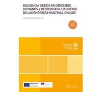 Diligencia debida en derechos humanos y responsabilidad penal de las empresas multinacionales