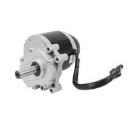 Dilwe 24 V DC 350W AIGNEUR Permanent Moteur ÉLECTRIQUE du Moteur ÉLECTRIQUE du Electrical du ÉLECTRALE LOBLE SPELLE avec Alliage D'ALUMINUM Corps pour Les SCOODERS ET SCOOD