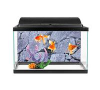 Dilwe Autocollant Décoratif en Pierre de Roche pour Aquarium, Peinture de Paysage Adhésive DIY, Autocollant de Fond D'aquarium pour la Décoration de la Maison, Matériau PVC Non Toxique, comme