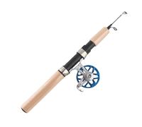 Dilwe Canne à Pêche Télescopique en Carbone FD50 avec Moulinet, Poignée en EVA, Compacte et Portable, Corps Entièrement en Métal, Trou de Fil en Céramique, pour Matériel de Pêche sur (Blue)