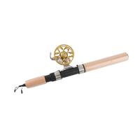 Dilwe Canne à Pêche Télescopique en Carbone FD50 avec Moulinet, Poignée en EVA, Compacte et Portable, Corps Entièrement en Métal, Trou de Fil en Céramique, pour Matériel de Pêche sur (Gold)