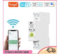 Dilwe disjoncteur Tuya WiFi Tuya WiFi Disjoncteur intelligent ON OFF Timing Compteur electronique interrupteur Multicolore