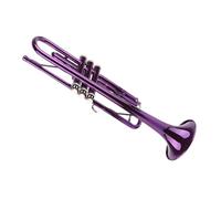 Dilwe Ensemble de Trompettes Trompette en Laiton Sib avec Corps en Cuivre et Sac de Rangement pour Embouchure Amovible Inclus pour Les Étudiants Débutants Pratiquent la Performance du Groupe (PURPLE)