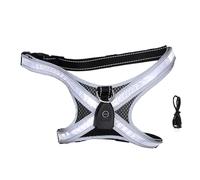 Dilwe Harnais LED pour Chien, Gilet Lumineux Rechargeable avec 7 Modes de Couleur, Harnais Réfléchissant Réglable sans Traction pour Chiens de Petite, Moyenne et Grande Taille, Anneau (Black)