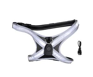 Dilwe Harnais LED pour Chien, Gilet Lumineux Rechargeable avec 7 Modes de Couleur, Harnais Réfléchissant Réglable sans Traction pour Chiens de Petite, Moyenne et Grande Taille, Anneau (Black)