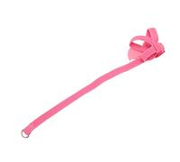 Dilwe Harnais pour Oiseaux, Laisse Ultra Légère, Anti-Morsure, Corde D'entraînement pour Perroquets, pour Une Marche Facile en Plein Air (Pink)
