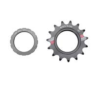 Dilwe Le Volant Fixe de Vélo de Vitesse, Roue Simple de Vitesse D'alliage D'aluminium a fixé la Vitesse pour des Vélos (15T)