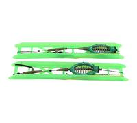 Dilwe Lot de 2 Cages d'alimentation de Pêche avec Plombs pour Carpe (50g)