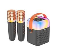 Dilwe Machine sans Fil de karaoké avec 2 Microphones sans Fil, Microphone BT et Ensemble de Haut-parleurs KTV avec Effets de Lumière RVB 3D Surround Rechargement Portable karaoké pour Chanter (Black)