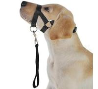 Dilwe Muselière Réglable pour Chien, Outil D'entraînement pour Prévenir Les Morsures, pour la sécurité des Animaux Domestiques, Collier de Tête en Tissu Polyester pour Un Bon Comportement (L)