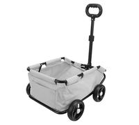 Dilwe Poussette pour Animaux de Compagnie Spacieuse et Bien Ventilée Légère Pliante pour Chien Chat Voyage capacité de Charge en Acier au Carbone 15,43 Lb (GRAY)