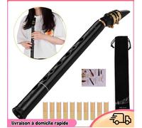 Dilwe Saxophone en plastique - Mini Saxophone de poche à clé C, matériau ABS avec embouts, sac de instruments saxophone Noir