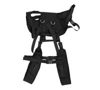 Dilwe Small Pet Transporteur Sac à Dos, Sac de Voyage en Maille Respirant avec Poches de Rangement et Ceinture de sécurité, pour Les Chats et Les Chiens (L)