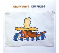 Gruff Rhys – Dim Probs – CD – Integral
