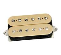 DIMARZIO DP 223FCR 310197 PAF proveni Accessoires guitare