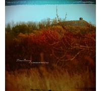 Dimension Reflected, A by Time Being (2011-04-12)