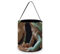 [Dimensions : 20 x 21 x 18 cm] Sac fourre-tout d'Halloween avec deux grenouilles imprimées - Réutilisables pour les fêtes et les cadeaux