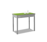 Dimessa Livre de Cuisine en métal, Vert, 80 x 40 cm